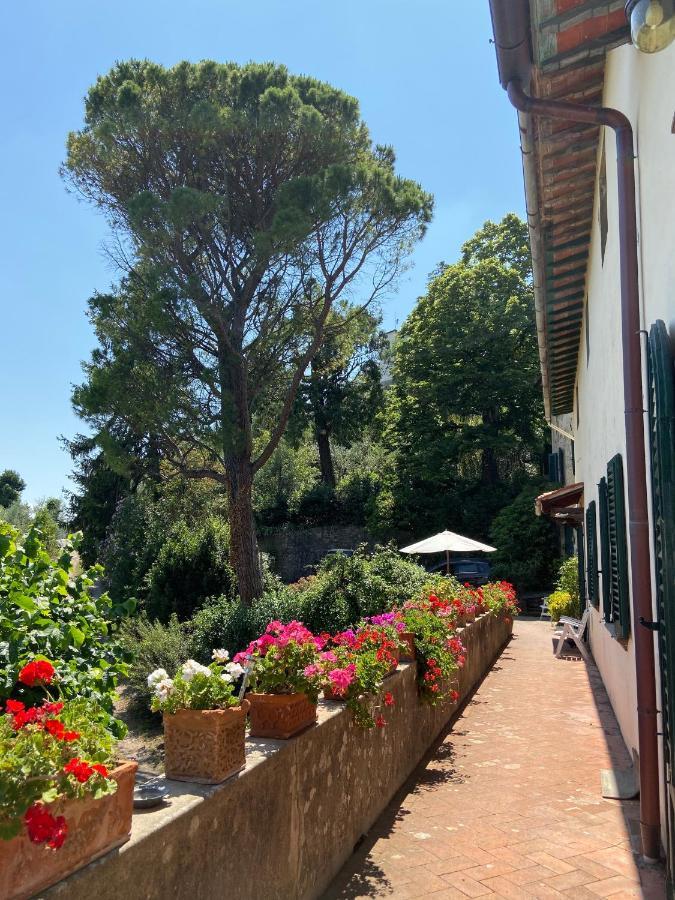 B&B La Rocca การ์มิญาโน ภายนอก รูปภาพ