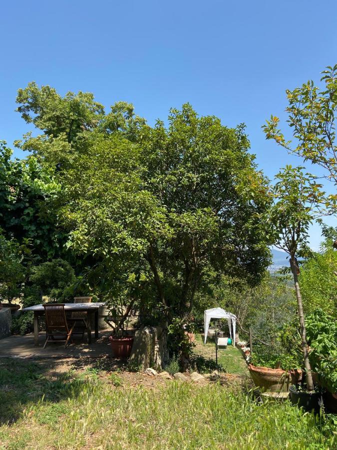 B&B La Rocca การ์มิญาโน ภายนอก รูปภาพ