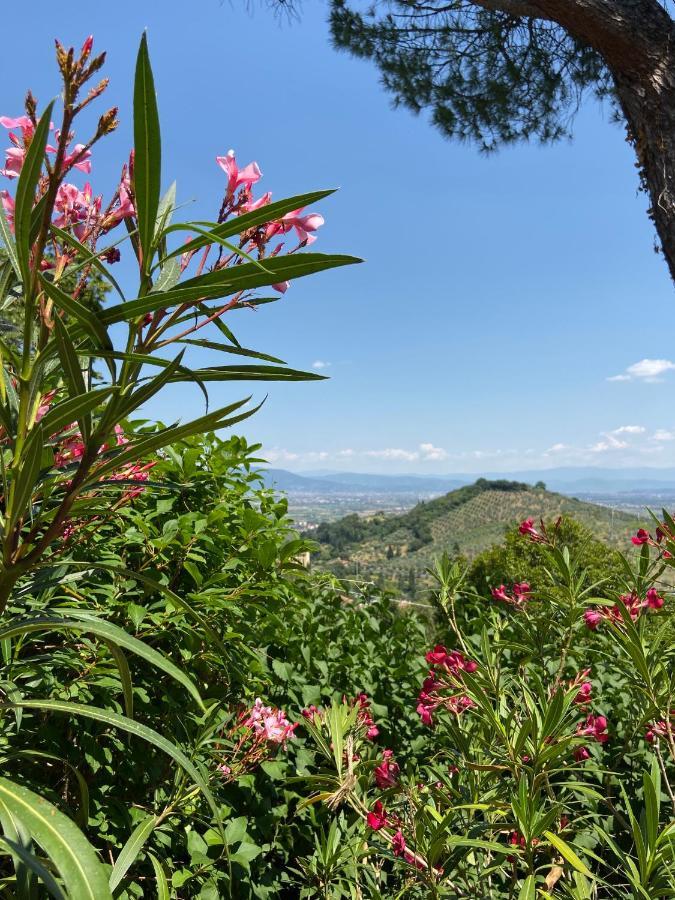 B&B La Rocca การ์มิญาโน ภายนอก รูปภาพ