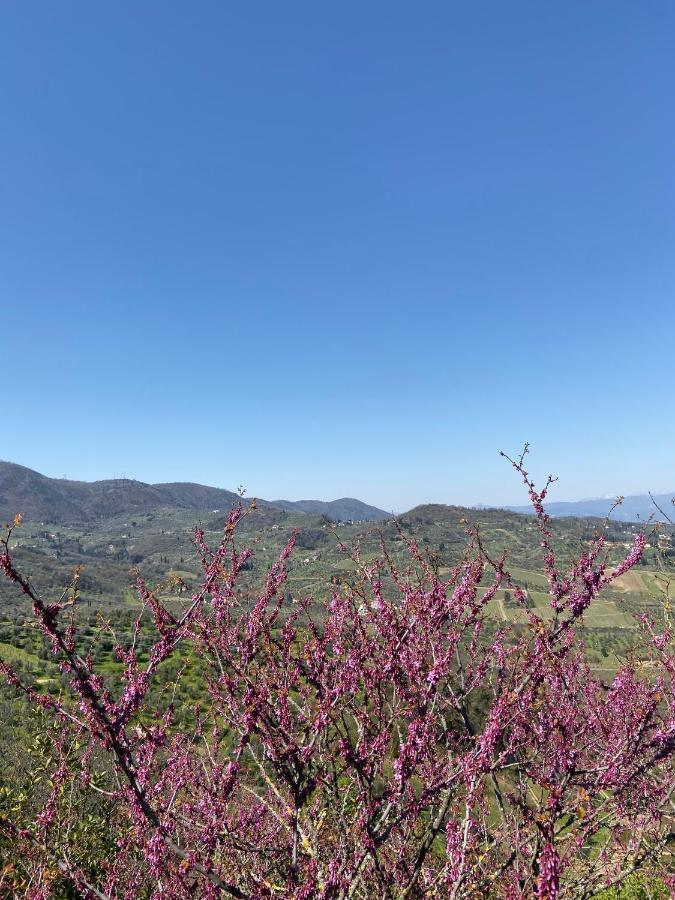 B&B La Rocca การ์มิญาโน ภายนอก รูปภาพ